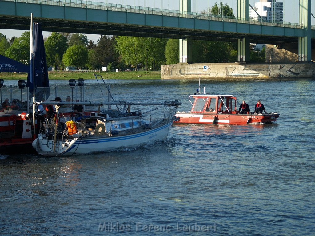 Motor Segelboot mit Motorschaden trieb gegen Alte Liebe bei Koeln Rodenkirchen P119.JPG